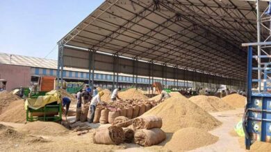 धान खरीदी में सुगमता हेतु ‘तुहर टोकन मोबाइल एप’ प्रारंभ — किसानों को मिलेगी घर बैठे टोकन सुविधा, समितियों में लंबी कतारों से मिलेगी मुक्ति