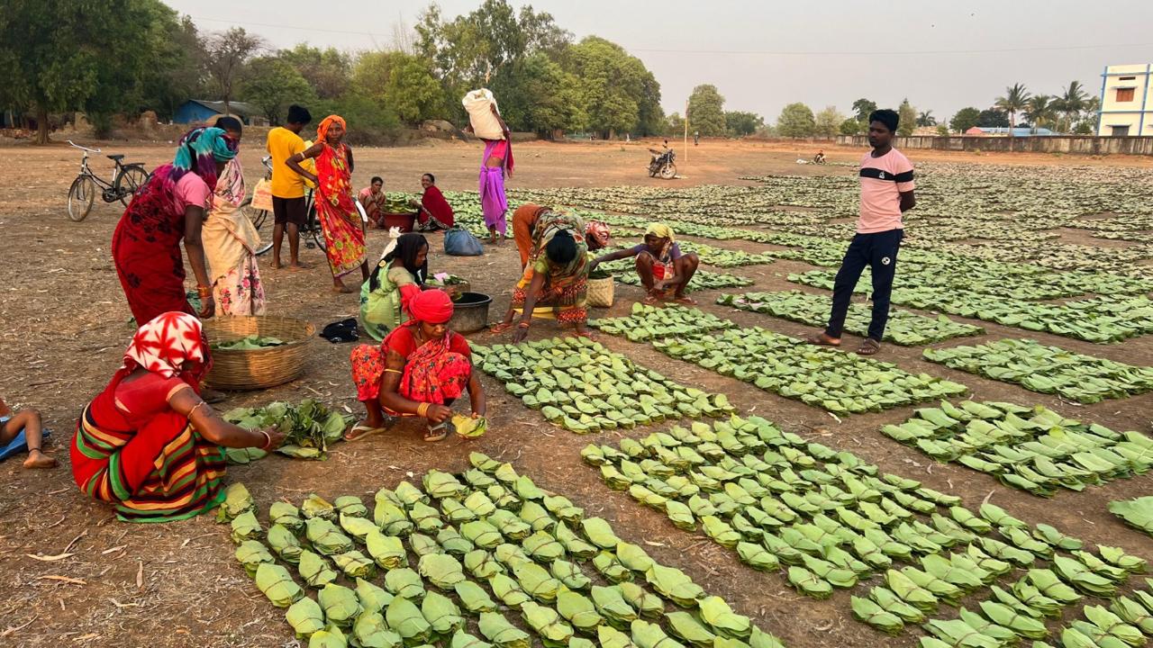 छत्तीसगढ़ राज्य निर्माण के 25 वर्षों की सफलता की कहानी: वनोपज, जल संरक्षण और ईको टूरिज्म से बढ़ी समृद्धि….
