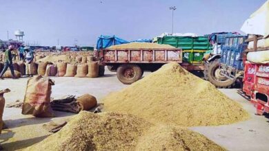 मंडी शुल्क की चोरी करने वाले के विरुद्ध कड़ी कार्रवाई के निर्देश