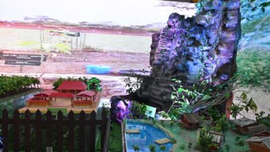 छत्तीसगढ़ राज्य स्थापना दिवस के रजत जयंती वर्ष पर “वन विभाग” का आकर्षक स्टाल केंद्र बना आकर्षण का केंद्र….