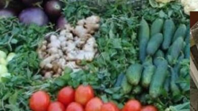 सब्जी बेचने वाले ने खुद को समिति संचालक बताकर महिला से 5.40 लाख की ठगी की