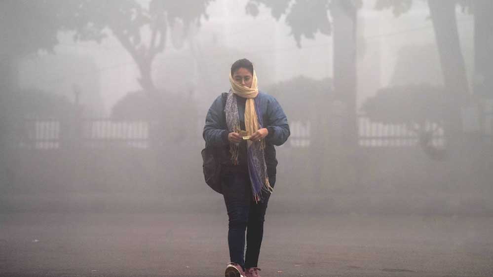 मध्यप्रदेश में सर्दी का कहर: राजगढ़ 7.4°C, इंदौर 7.6°C; 13 जिलों में शीतलहर, अनूपपुर-बालाघाट में कोल्ड डे